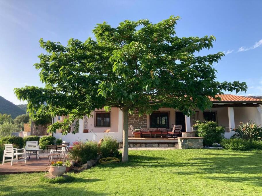 Countryside Villa In Sardinia Triei Exterior foto