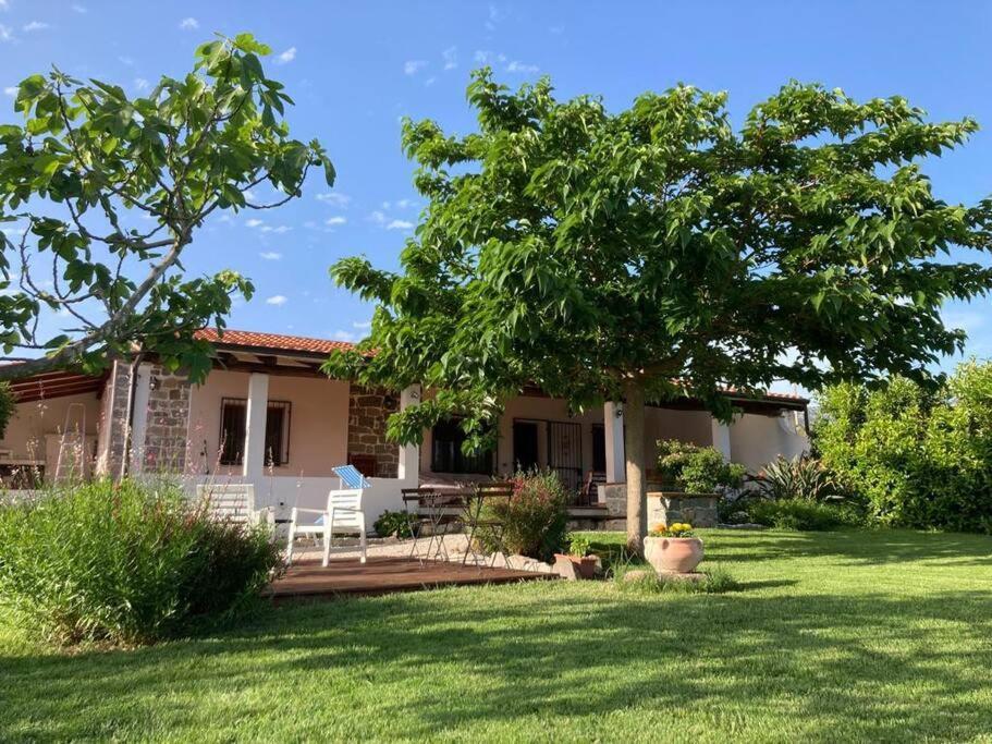 Countryside Villa In Sardinia Triei Exterior foto