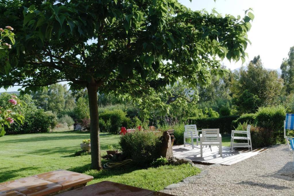 Countryside Villa In Sardinia Triei Exterior foto